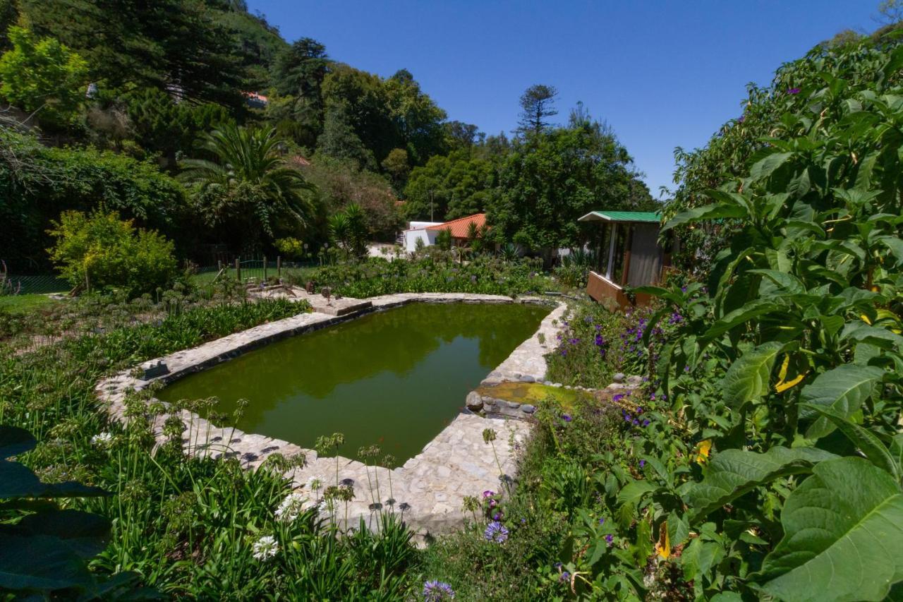 Quinta Murtas Casa de hóspedes Sintra