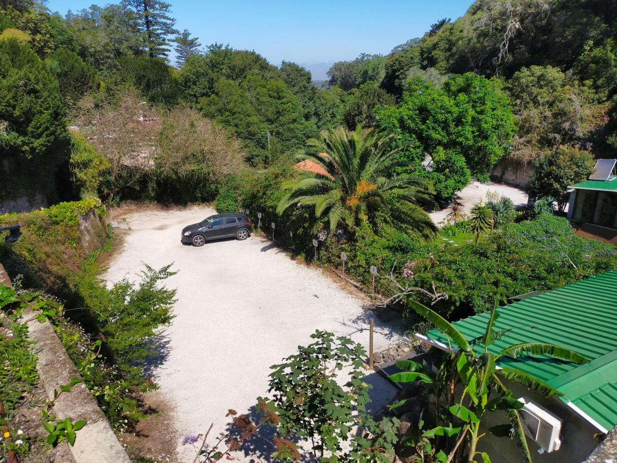 Quinta Murtas Sintra